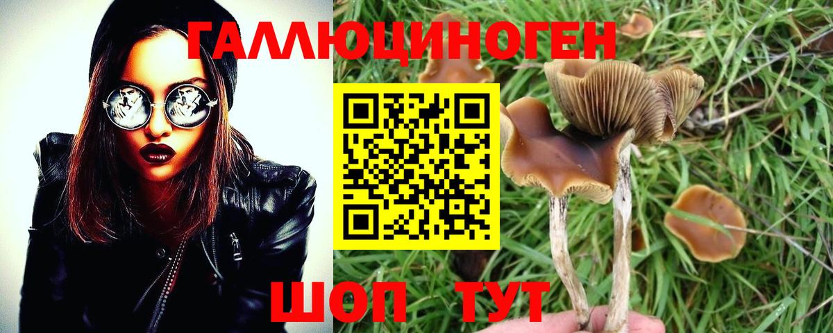 Псилоцибиновые грибы мухоморы Мурманск
